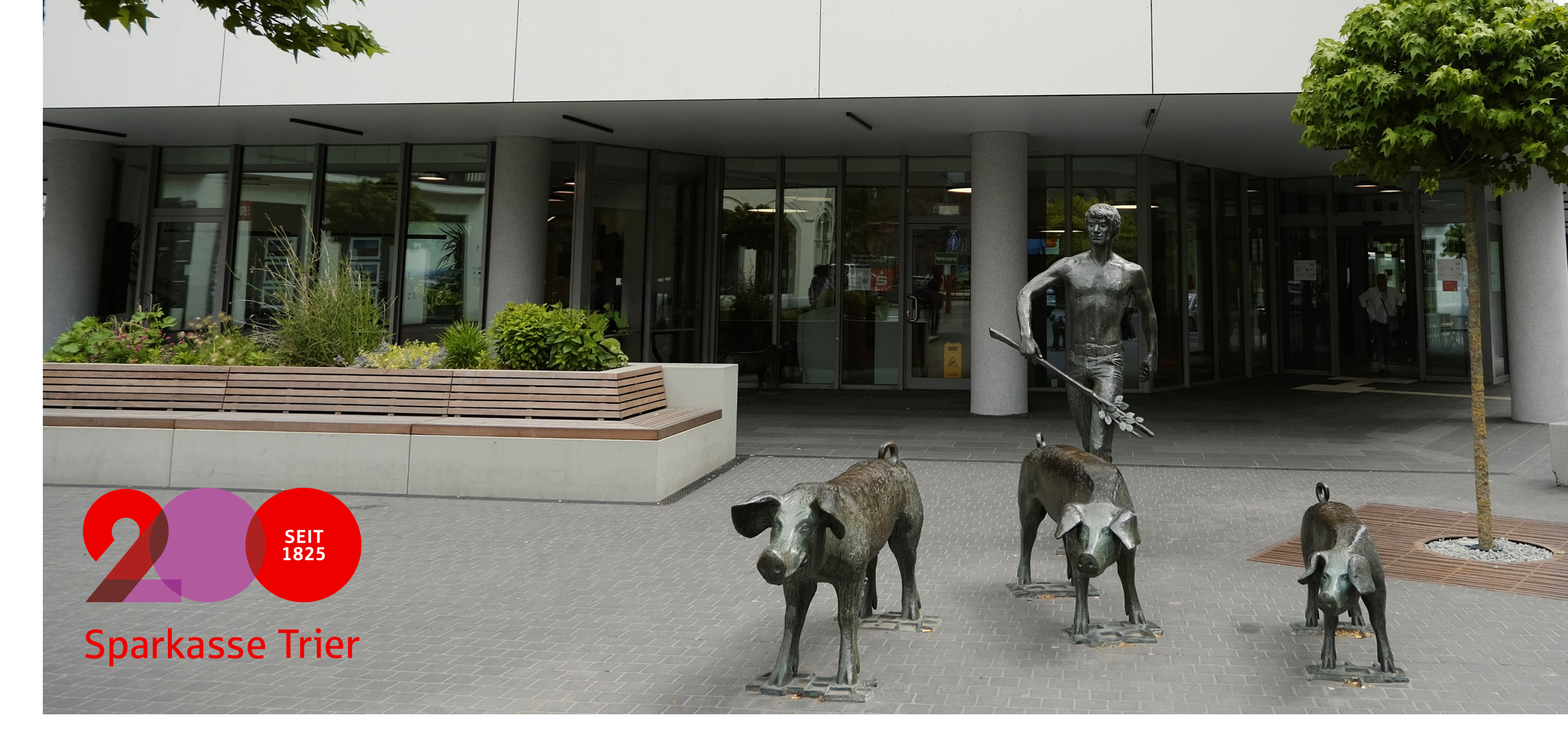 Header-Bild Sparkasse Trier Jubiläumsspendenaktion